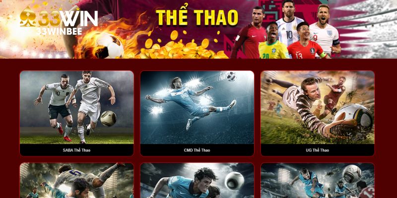 Giới thiệu tổng quan trang cá độ bóng đá