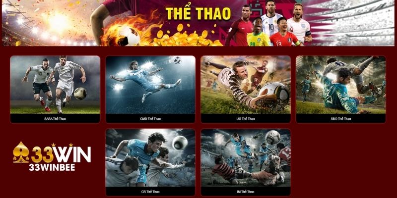 Cá cược thể thao 33win